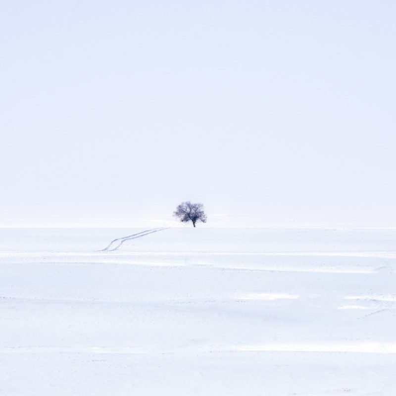 Facts About Business That Will Help You Success